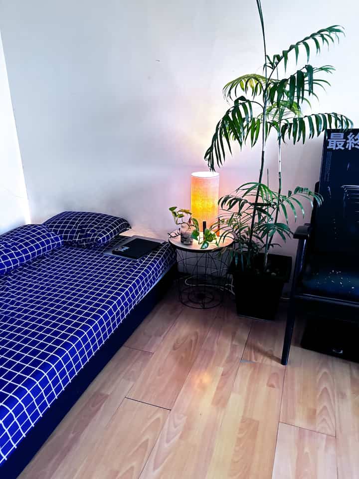 kamar cowo yang sengaja dibuat seperti studio mini dengan listening space dan houseplant agar terdapat sentuhan hijau hijau segar di dalam kamar #livealone #tropical #minimalist #decorlowbudget #interiordecoration #bedroomstudio