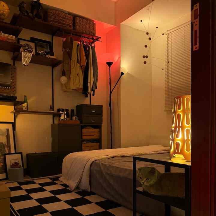 Niat awalnya ingin ada meja samping di samping tempat tidur untuk menaruh buku, atau bahkan ponsel atau bahkan pengharum ruangan. Tapi bagaimanapun juga, meja samping ini sebenarnya adalah tempat dia nongkrong, bahkan dia sering tidur di sana! Oke itu tempat tidur 🛏️ itu himi 😂

#tempattidurkucing
#selasarapt
#tempanabul
#getaran malam
#dekorasi ruangan
#rumah hewan peliharaan
#hidup lambat
