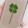 FOUR-LEAF CLOVER
