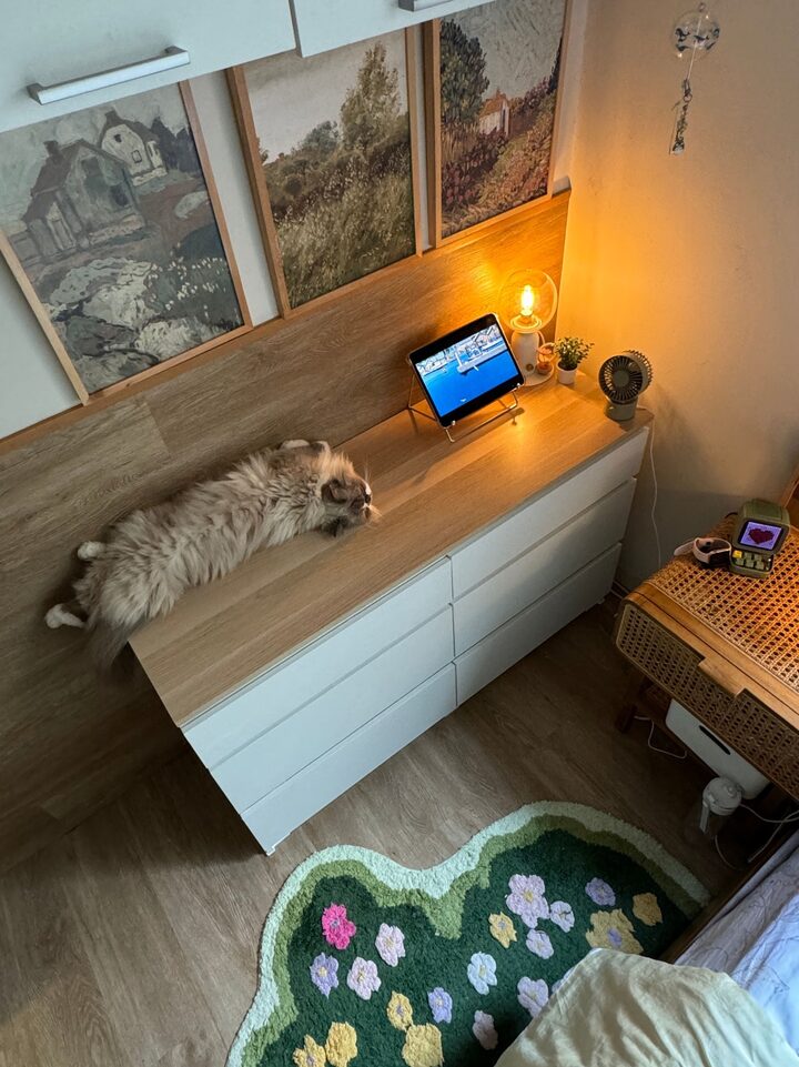 short form carousel card thumbnail