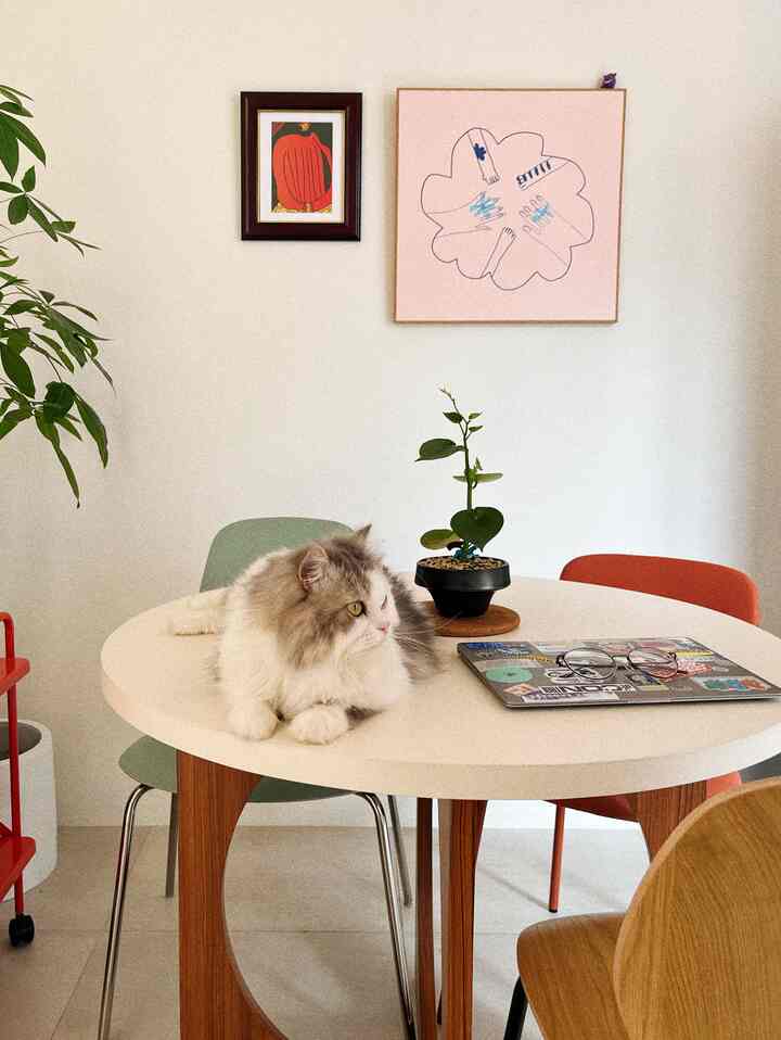 Ivory-toned living room with a round dining table featuring a cat and a plant, arranged in a simple setting