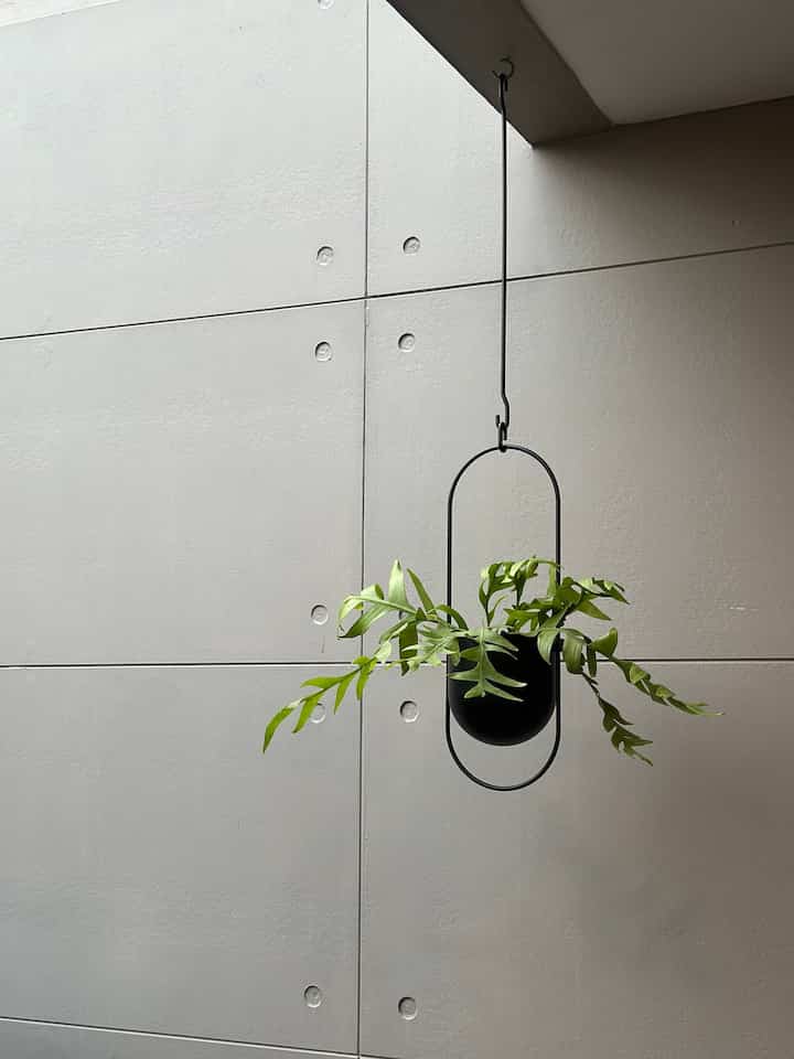 Karena lahan teras kami sangat terbatas, akhirnya aku memutuskan menggunakan pot gantung supaya lebih enak dipandang. 
#idepotgantung #potgantungikea 