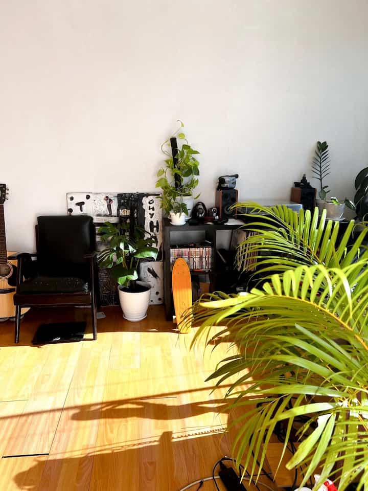 natural light in the morning in the room, I really like this room when the sunlight coming in is good, luckily I deliberately made the windows of this room big to get natural light in this room #bedroomstudio #minimalis #listeningspace #natural #housegram #houseplant