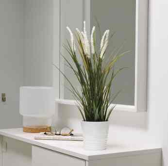 Tanaman palsu/ tanaman hiasan/ Tanaman tiruan