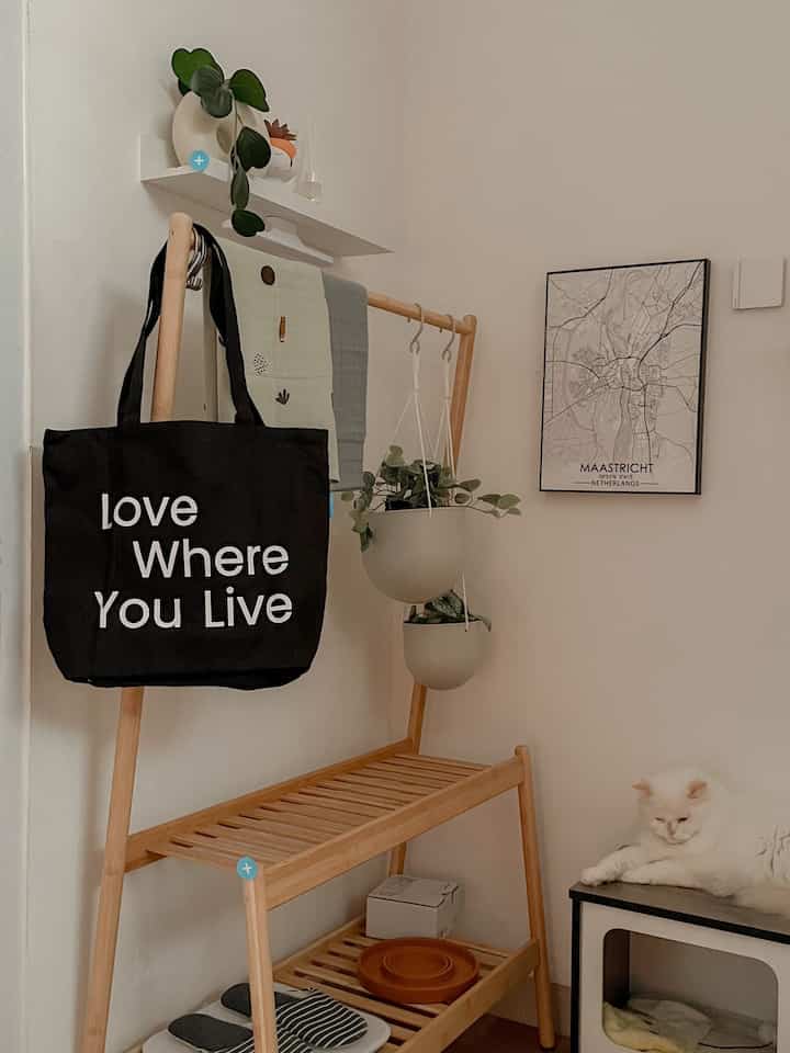 Green corner in my home ❤️ #ikea #daksjus #greenary #home #ohouse #japandi #cat 