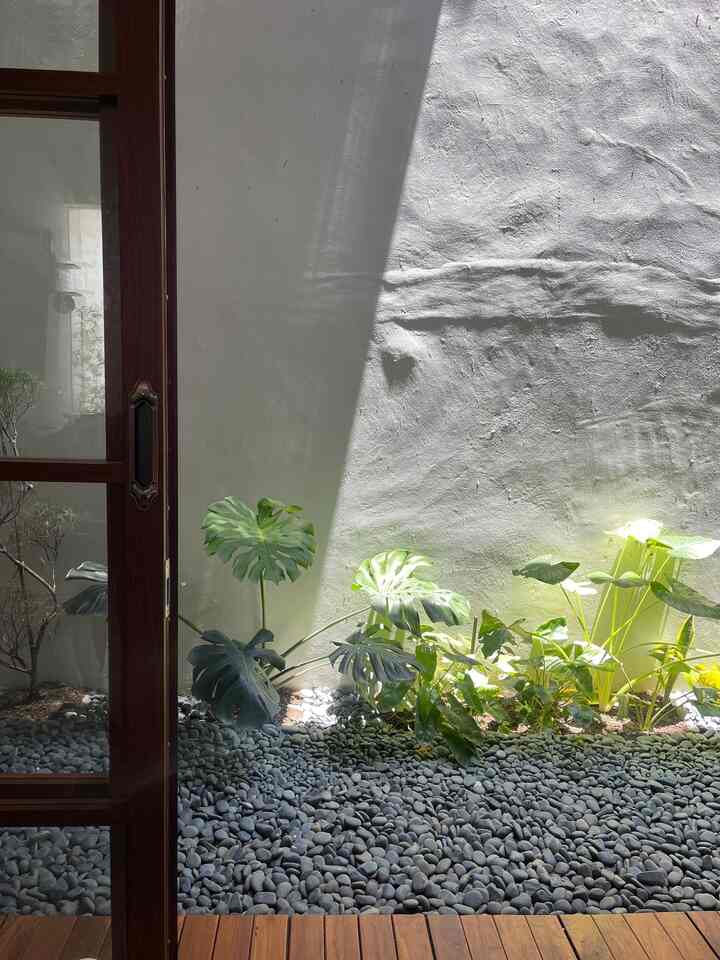 Spot Hijau 🍃

Rasanya kurang lengkap tanpa green space dirumah ini. Maka taman belakang kami isi dengan Monstera yg sudah berumur 4 tahun yg saya beli di tahun-tahun pandem 2020, lalu ada bonsai dan beberapa tanaman varigata. Lalu untuk indoor saya pilih tanaman yg cukup tahan banting seperti karet kebo / ficus elastica & Glorisium di sudut tangga, tetrasperma / monstera mini, tanaman patah tulang yg bentuknya sangat unik jd sangat match bersanding dengan barang dekoratif seperti lampu meja dan lilin aromaterapi. Terakhir utk taman teras saya memilih tanaman Araucaria / norforlk, calathea dan alang-alang ekor kuda warna merah yg lumayan butuh perhatian jika sudah rimbun daunnya sangat lebat dan berantakan, dia sangat tahan dibawah sinar matahari yg terik, jika dimusim panas terlihat sangat estetik.. namun jika musim hujan atau dingin biasanya ekor kuda merahnya berubah jadi putih.. 

🌲🌿🌾🍃🍃🍀🌱

#greenspace #spothijaudirumah #tanamanindoor #taman #backyard #alangalangekorkuda 