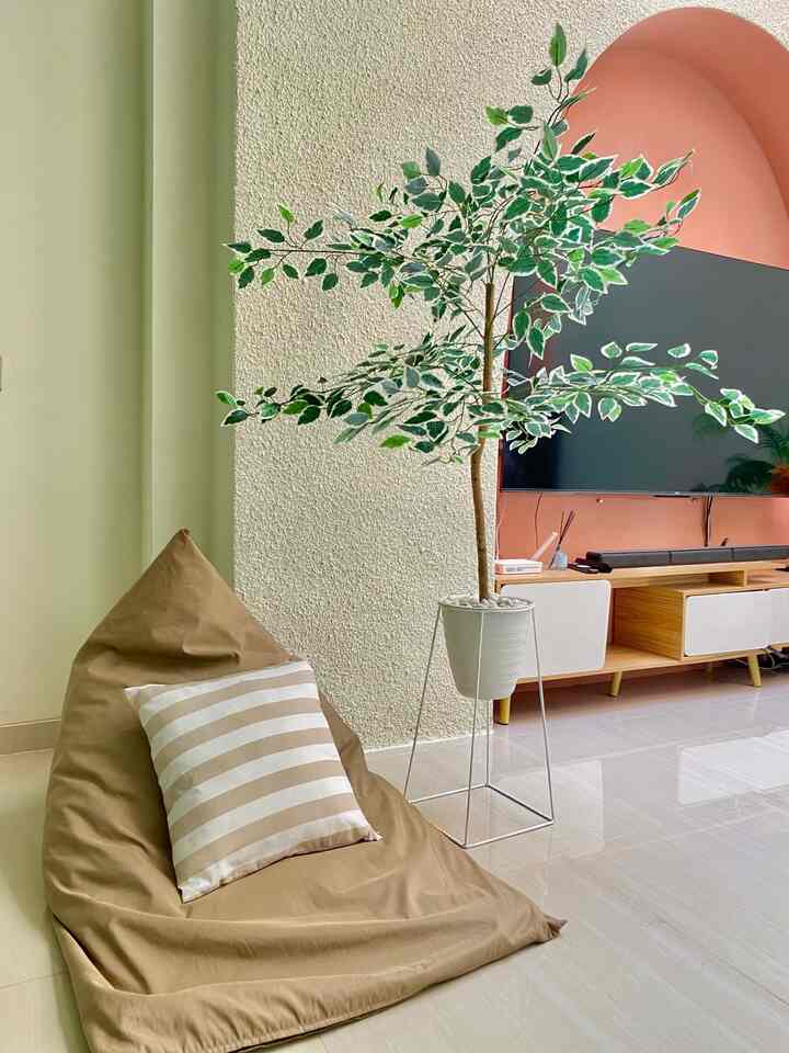 hai tetangga online kursi bean bag tidak pernah gagal untuk dijadikan tempat bersantai dengan artificial plant 

#ruangkeluarga
#livingroom
#houseofchel
#rumah
#rumahjakartaf