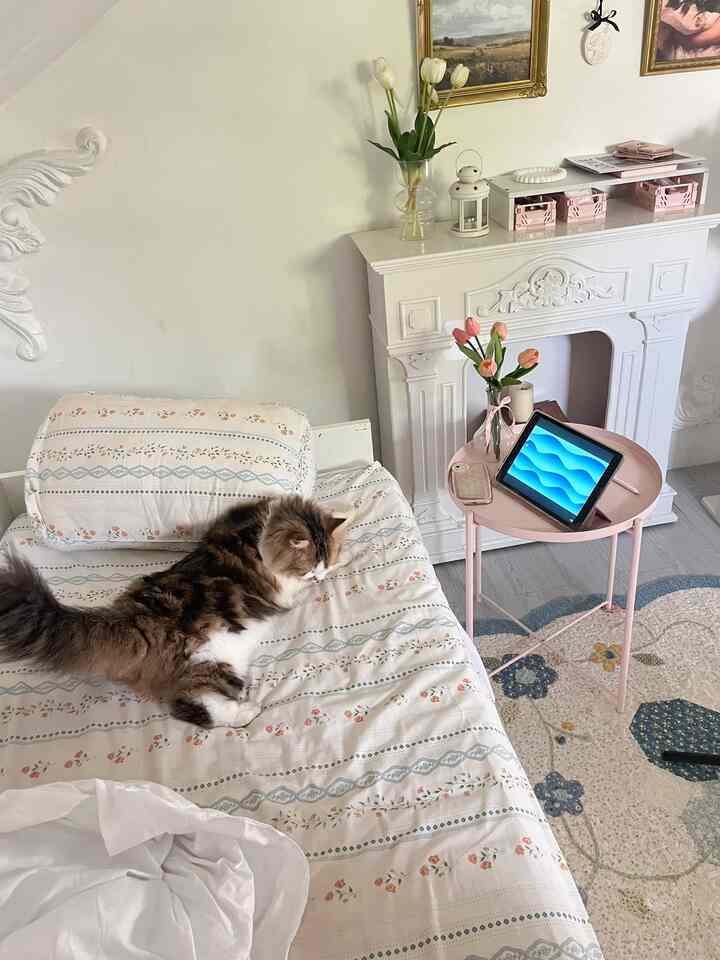 Di kamarku🎀

#kamaraesthetic #pinterestroom #kamarimpian #dekorasikamar #kostdecorinspo