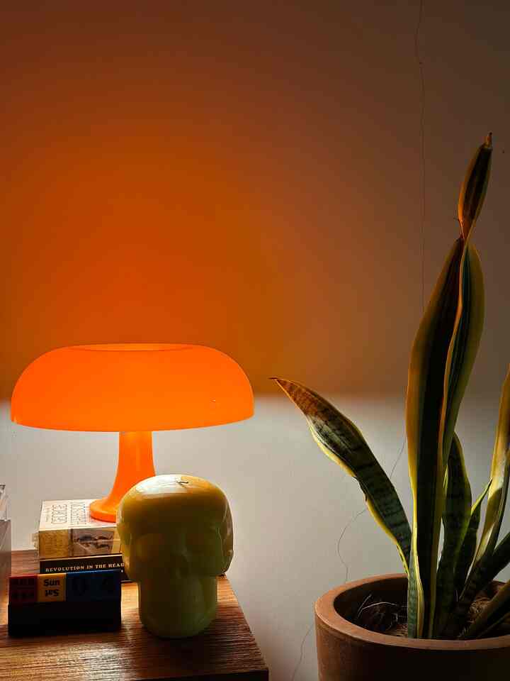 Beberapa sudut ruangan akan lebih cantik dan hijau jika di tambahkan dengan beberapa tumbuhan. Bisa itu tumbuhan asli maupun artificial. Salah satunya si tanaman lidah mertua ini atau sansivera yang punya segudang manfaat lho. Selain untuk tanamani hias, tanaman ini juga berfungsi sebagai air purifier alami di dalam ruangan.

#IdeTanamanDirumah
#smallroom
#TanamanaHias
#RuangHijau
#DekorasiRumah
#HomeDecor