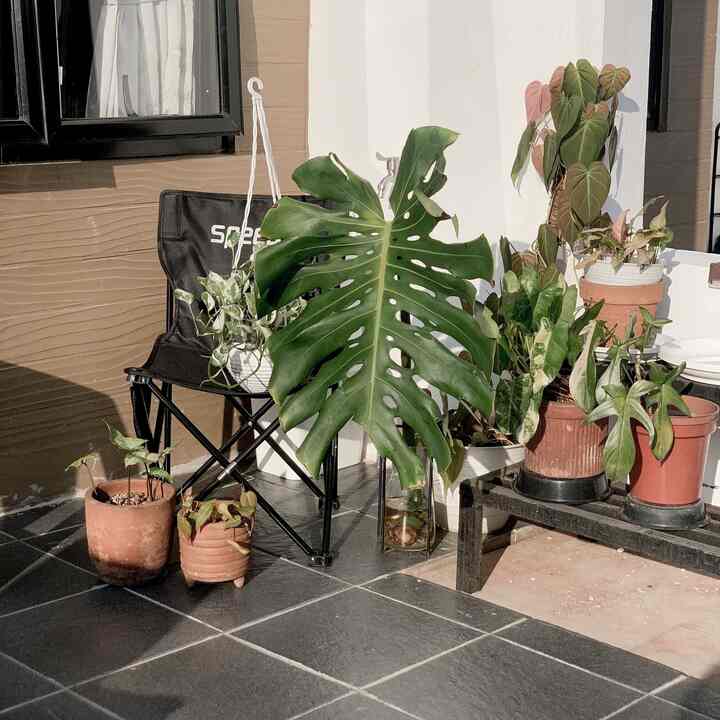 Welcome to our small mini garden area. The dominant combination of facades with an earth tone theme, very suitable combined with terracotta pots and tropical plants like this #littleourstory #homegarden #homestagram #landscaping