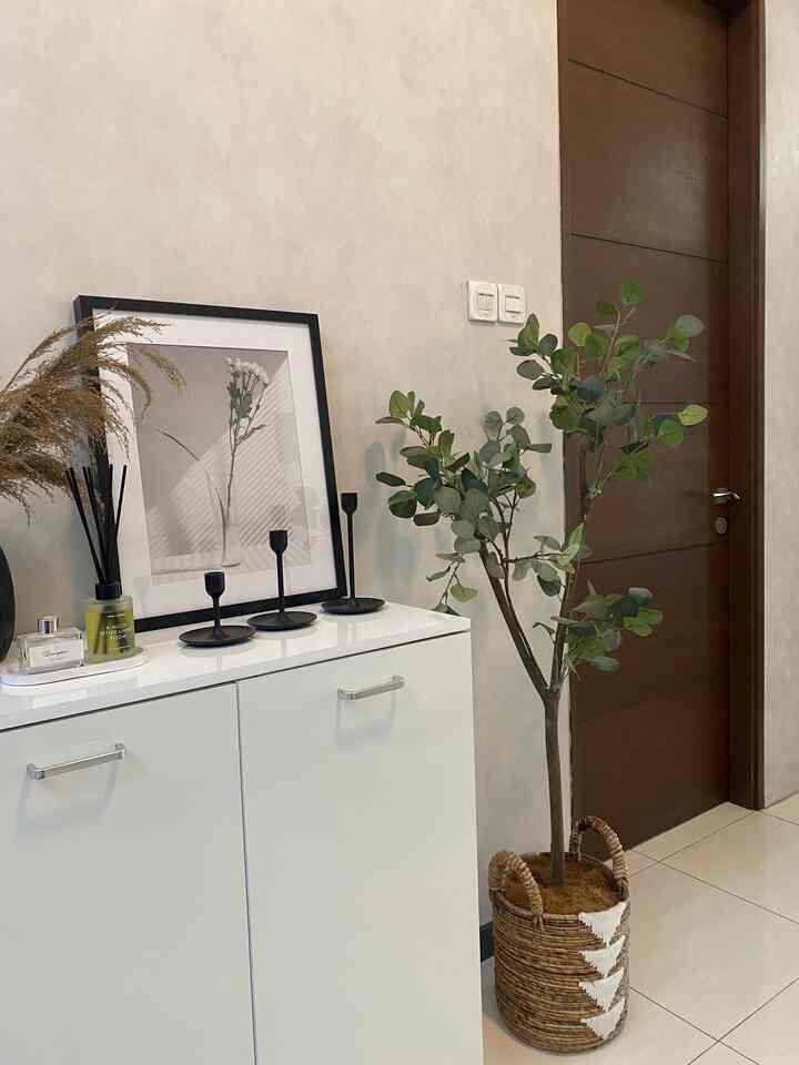 Entrance with white cabinet and brown door, featuring picture frame and plant for a natural atmosphere