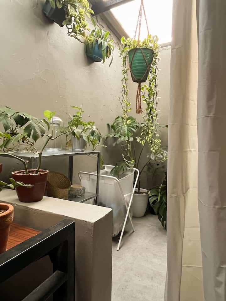 Taman sudut kecil yang nyaman 🌱🌿 

#TamanImpianSaya
#IdeDekorasiTaman
#BahanTaman
#HutanPerkotaan 
#PecintaTanaman 
#TamanBalkon