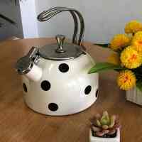 Teko Polkadot Kate Spade