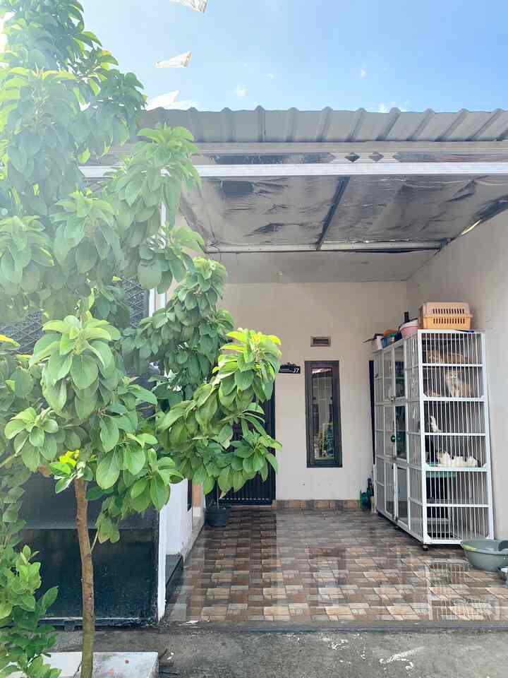 Hai tetangga Ohouse! Kenalin fasad rumahku @_rumahantik yang masih dalam tahap renovasi hehe belum sepenuhnya selesai tapi udah mulai kelihatan beberapa spot yang nantinya akan dilakukan tindakan finishing, untuk ukuran rumahku ini adalah di luas bangunan 50 meter persegi, dengan luas tanah 72 meter persegi, rumah ini adalah rumah subsidi yang aku renovasi diperluas dan dibuat dengan konsep open space ✨

Rumahku ini mengusung tema minimalist simple, setelah renovasi aku buat pintu masuk yang berbeda dari sebelumnya, pintu masuk berdampingan dengan sliding door yang aku custom ukuran 2m x 2m, tujuannya agar banyak cahaya yang masuk dan biar sirkulasi udara jauh lebih banyak juga

Untuk atapnya aku pakai atap spandek, berhubung aku punya anabul yang banyak dan kandang mereka aku taruh diluar/diteras dan ga mau mereka kepanasan, akhirnya aku tambahin pasang aliminium foil dibawah atap spandek, biar bisa meredam panas saat siang, ini juga ngebantu banget untuk aku yang sering aktivitas disiang hari, ga terasa panas sama skali setelah pasang aluminium foil ini, alhamdulillah

Nah untuk tegel sendiri, aku pilih yang bermotif juga terkstur kasar di teras depan pintu masuk biar terlihat cantik dan juga setiap bersih2 ga licin, dan untuk tegel samping sliding door aku pakai tegel hitam karena disitu akan aku decor ala-ala teras yang bercampur taman mini hihi sementara aku simpan rak sepatu dulu ditemani tanaman karet kebo biar ada kesan cantiknya, after renov selesai bakal aku share kembali ya 😍

Untuk penampakan fasad kali ini cukup sekian, doain renovnya lancar-lancar ya nanti aku bakal share before afternya, semoga berkenan mampir ya tetangga Ohouse 🥹✨

#fasad #facadestyle #materialfasad #inspirasifasad #Rumah #rumahantik #rumahdengankucing #rumahku #home #homesweethome #masyaAllah