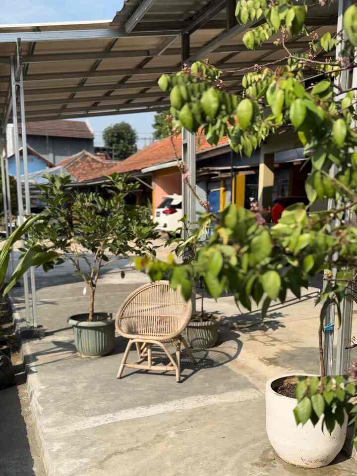 Pagi ✨ 
Ada lahan kecil dibelakang garasi, saya jadikan kebun buah, Ini teras depan rumah, disini tempat saya menanam buah ada belimbing, rambutan dll. Dimana saya juga ngopi di pagi hari sambil berjemur 


#inti
#homestay
#tamanberanda 
#Kanopi 
#bajaringan
#fasad
#tanaman