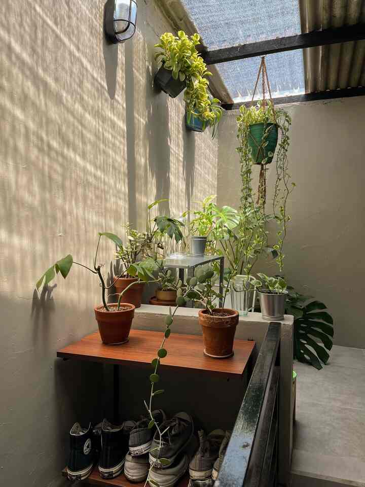 Little garden sederhana di pojokan kecil yang dilengkapi dengan paranet untuk menyaring sinar matahari dan atap gelombang yang melindungi tanaman dari hujan, menciptakan ruang hijau yang asri 🌿

#MaterialLittleGarden
#LittleGarden
#InspirasiLittleGarden