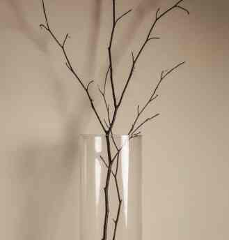 Ranting kayu-kayu hias vas bunga aesthetic