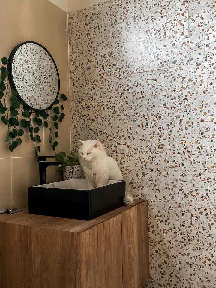 Natural modern bathroom with white and brown tones, featuring a black sink, round mirror, and a cat sitting inside the sink