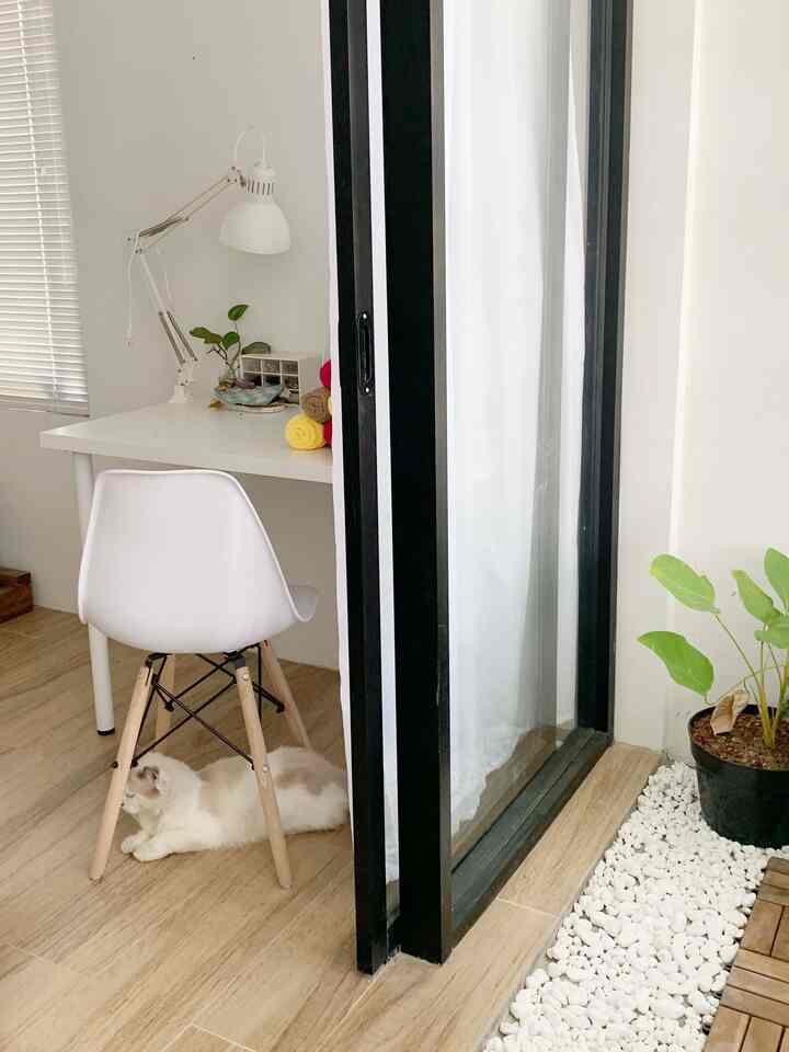 White and wood tone home office featuring a white cat lying under the chair, creating a cozy workspace