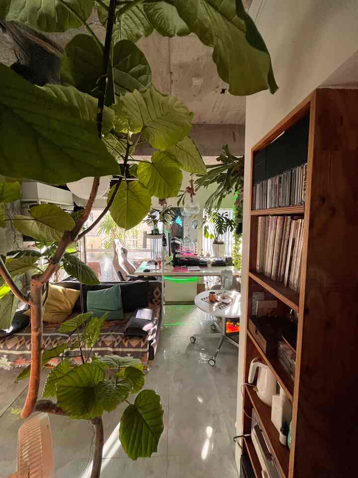 緑の植物が多く配置されたナチュラルスタイルのワンルーム、温かみのある木目調のシェルフと効率的なレイアウトのあるホームオフィス空間