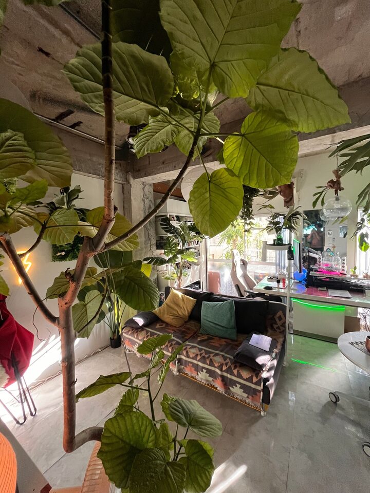 short form carousel card thumbnail