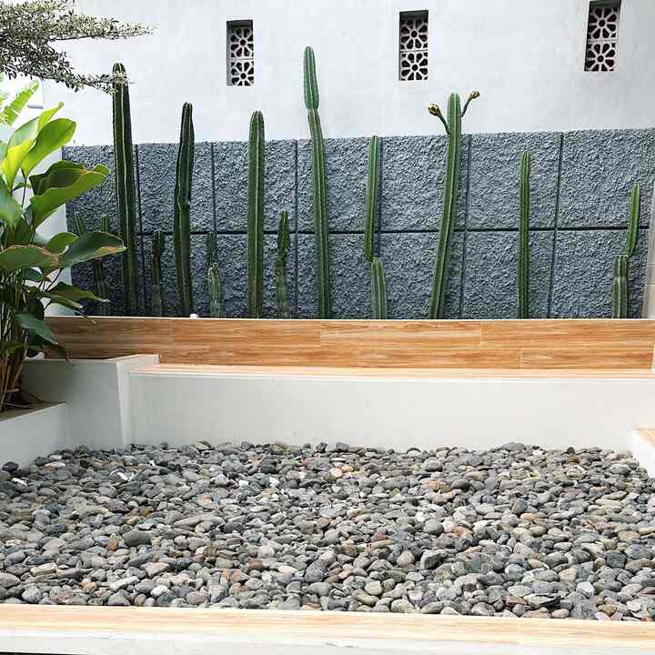 Beberapa material affordable dan low maintenance versi rumahbryan yang bisa jd inspirasi tetangga online ✨

1. Penggunaan batu coral sungai selain harga murah juga minim perawatan karena tidak mudah berlumut.

2. Penggunaan granit motif kayu memberikan kesan hangat, dengan permukaan granite pada area dudukan beton membuat area taman tidak mudah kotor

3. Penggunaan batu alam disebagian fasad depan untuk meminimalisir proses re-paint karena batu alam lebih awet dan tahan terhadap cuaca

4. Penggunaan kusen aluminium untuk pintu sliding area outdor taman belakang lebih awet anti rayap dan anti jamur.

Kalo dirumah kalian gimana? Yuk share 🩵

#materialrenovasi #materialmurah #taman #batualam #batucoral #granitkayu #pintugeser #pintualuminium