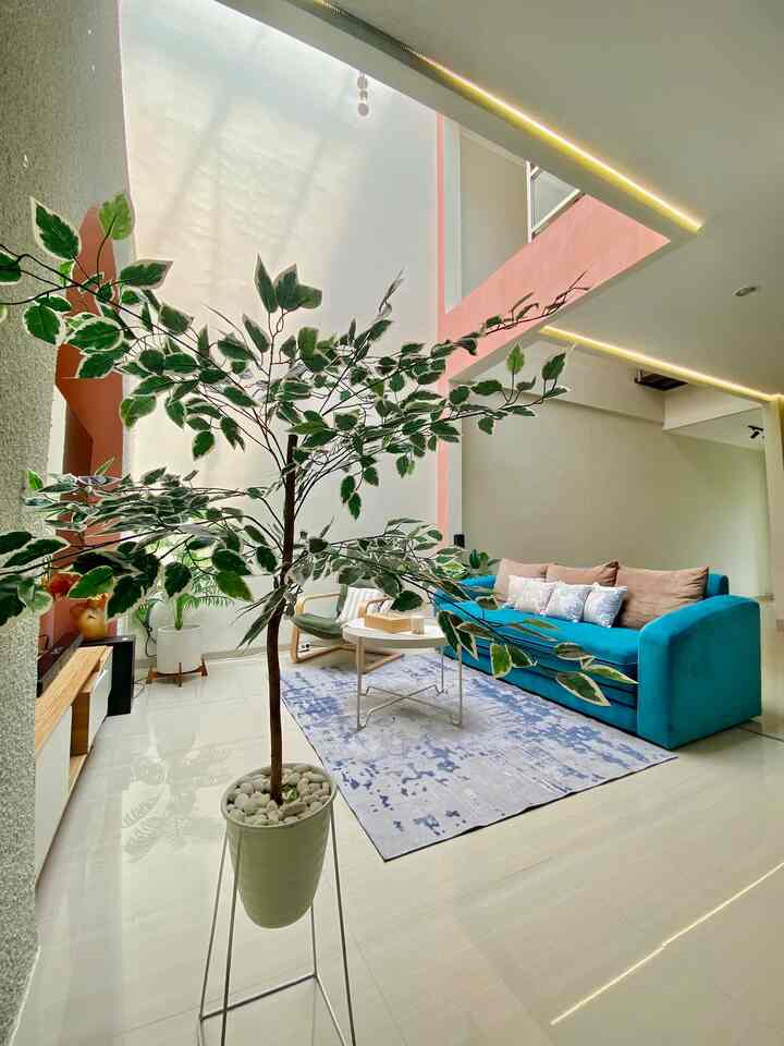 Hai tetangga online selamat datang di ruang budget friendly versi house of chel yaa..

foto pertama : Living room memiliki tanaman artificial beringin ini menambah semakin estetik ruangan kami lho

foto kedua : Meja tv kami dapat diatur panjang pendeknya jadi sesuai dengan ruangan tv kami yg melengkung

foto ketiga : adalah ruangan rooftop dimana alang alang ala pedesaan ini makin menambah estetik rooftop kami yang dominan putih.

foto ke empat adalah bagian dari ruang tamu outdoor (teras) bunga kering dan tempat tisu pastinya menambah estetik ruangan ini.

foto ke lima adalah meja putih di ruang teras kami, tidak harus mahal kok untuk estetik … 😊👍🏻


#MaterialRenovasi
#MaterialMurah
#ruangtamu
#pohonartificialberingin
#vasbungaestetik
#mejalipatmurah
#PlafonPVC
#Catdindingteracota
#solartuff
#Lantaikeramik