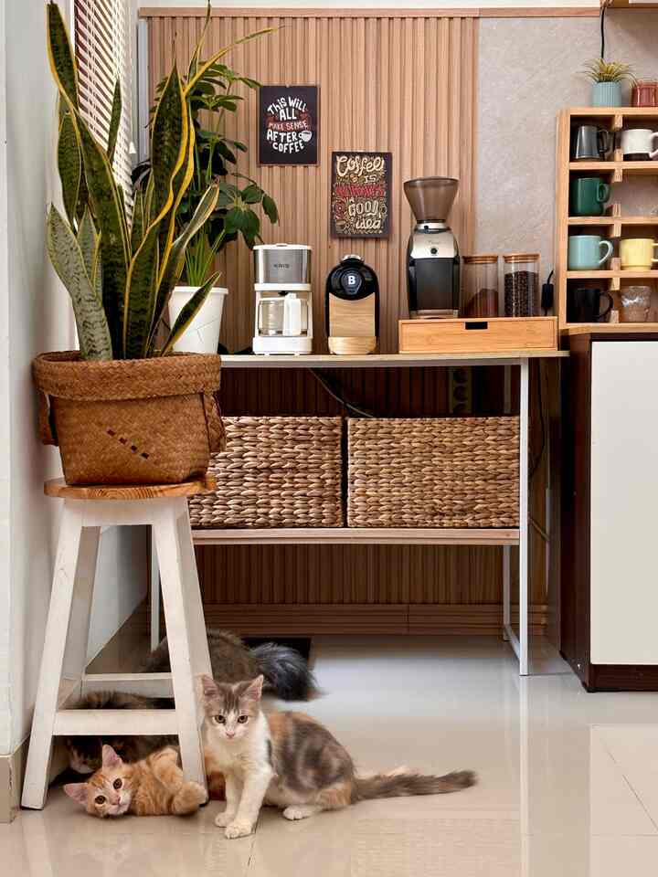 Semua yang ada di dapur ini adalah budget friendly. Dimulai dari cabinet bawah dari Pira Home yang lebar awalnya adalah 150x40cm, terus aku tambahin counter top dari kayu papan dilapisi dengan kertasive tipe hemlock sehingga lebar sekarang menjadi 150x60cm.
Bagian backsplash juga sama, terbuat dari papan dilapis dengan kertasive tipe everdeen marble.
Aku sudah pakai cara ini sudah sekitar 2 tahun dan so far masih aman dan sangat fungsional.

#MaterialRenovasi
#MaterialMurah
#backsplash
#countertop
#lemaridapur
#dapurlowbudget
#kitchensetmurah