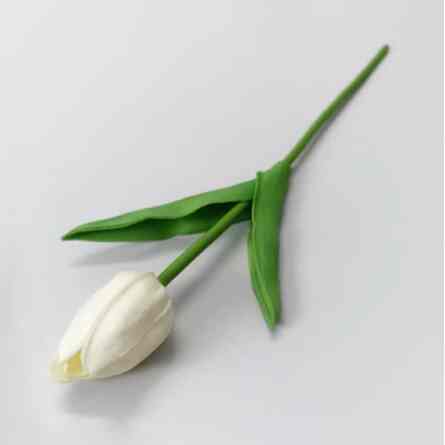 Bunga Tangkai Hias- tulip