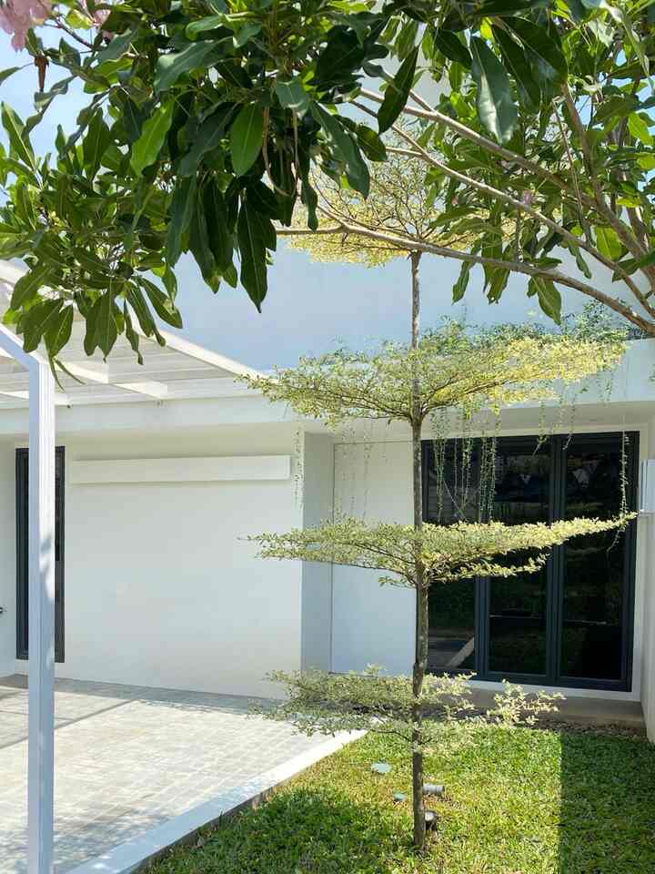 Selain fungsi yang nyaman, estetika juga menjadi salah satu pertimbangan kami dalam memilih material. 

Untuk carport, kami memilih menggunakan kanopi dengan material besi hollow. Selain kokoh, tambahan cat putih membuat tampilannya menjadi ‘clean’. Oh iya, salah satu keinginan kami sejak dulu adalah memiliki pohon ketapang kencana di halaman depan rumah. Selain bentuknya yang unik, pohon ini juga ketika tumbuh besar akan membuat rumah terasa rindang.

Untuk bagian dalam rumah, kami memilih menggunakan lantai granit dengan aksen exposed concrete. Dengan permukaan yang matte, lantai ini memberikan kenyamanan tersendiri dengan tetap memberikan kesan estetik. Untuk dapur, kitchen set kami menggunakan material HPL taco berwarna putih. Material ini alternatif terbaik untuk dibuat menjadi kitchen set karena cukup awet dan gampang dibersihkan. Selain itu, warnanya beragam dan bisa disesuaikan dengan keinginan atau konsep rumah.

Untuk kamar mandi, salah satu yang membuat kami jatuh cinta pada desainnya adalah mosaic tiles yang dipasang penuh sampai plafon. Selain tampilannya lebih estetik dan menghindari dinding lembab, tentunya perawatan menjadi lebih mudah karena tidak perlu rutin untuk dicat.

Untuk halaman belakang yang awalnya hanya menggunakan dinding roster, akhirnya kami tutup dengan full dinding karena sering ada hewan-hewan yang masuk melalui celah roster tersebut. Supaya tidak monoton, kami menambahkan aksen tegel dan kursi berwarna kuning terang. Atapnya pun kami pasang kanopi untuk menghindari tampias air hujan.

#KanopiCarport #KeramikLantai #KitchenSet #KeramikKamarMandi #TegelDinding #MaterialEstetik