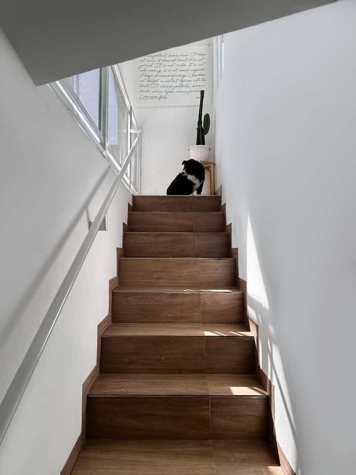 Ini tangga rumah yang menghubungkan lantai 1 ke lantai 2, tempat kamarku berada. Lantai 2 punya 2 jendela besar yang menghadap ke timur, jadi di pagi hari area tangga ini dapat pencahayaan alami yang bagus🌞✨ 

Anak tangganya pakai granit motif kayu, which contrasts nicely with the white walls. Untuk railing, aku pilih besi perforated yang dicat putih untuk menghasilkan look modern minimalis. Nggak lupa, ada handrail besi juga dengan bentuk yg simple dan dicat putih. 

The stairs don’t just connect floors, they add to the cozy, minimalist feel of the entire home🩵

#materialtangga #inspirasitangga #tanggaminimalis #granittangga #railingtangga #areatangga #dalkomspace