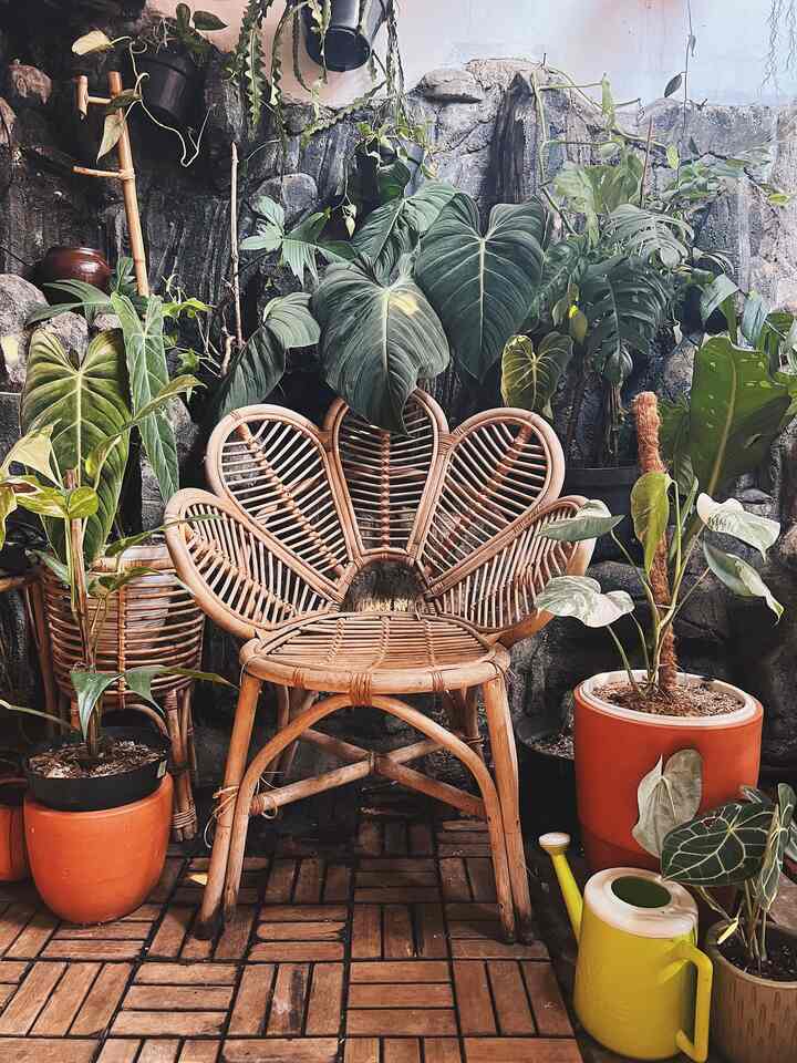 Hai Tetangga Kimkim 👋🏻
Ini adalah area taman semi indoor yang berada di area teras dalam rumah Kimkim (belakang fasad roster). Kenapa dibilang semi indoor, karena masih ada atap yg terbuka, sehingga sinar matahari & air hijan bisa masuk ke area taman ini.

Biasanya disini tempat aku dan anak bulu bermain. Anak bulu juga suka rebahan bahkan tidur bawah tanaman, karena bikin adem bgt. 

#IdeTaman
#TamanSemiIndoor
#TamanTropis
#DekorasiTaman
#TamanMinimalis
#TanamanTropis