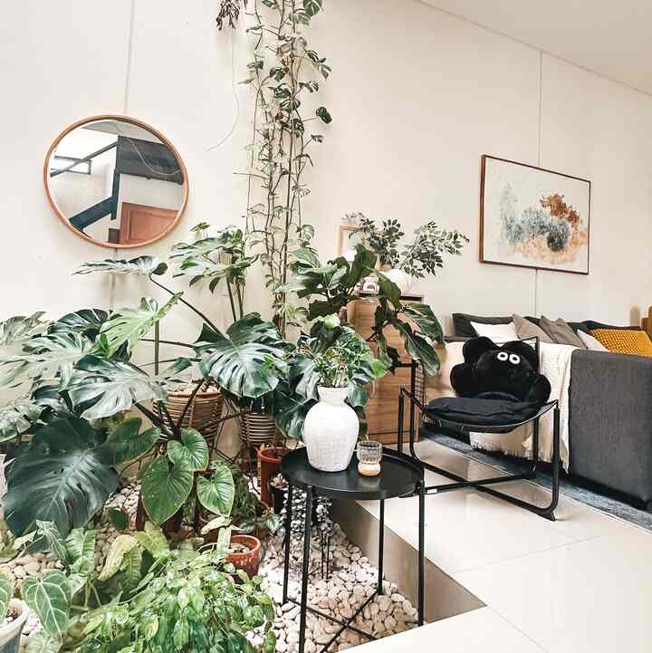 Bersantai di pagi hari di rumah Casaaksadaru
Tempat favorit di rumah ada di sini, 
Foyer kami ubah menjadi taman dalam ruangan. Bisa bersantai sambil minum kopi, 

Selamat berakhir pekan panjang 

#TamanCasaaksadaru #tempatSantai #Casaaksadaru #KursiSantai #Tamanindoor