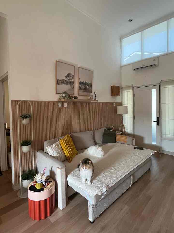 Bright white and wood-tone living room featuring two cats resting on a comfy sofa, creating a cozy atmosphere