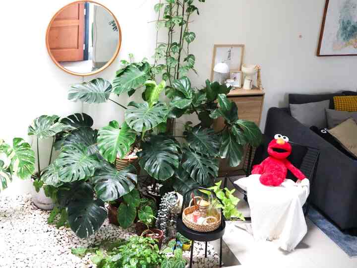 Selamat siang semuanya 
Di sore hari, enaknya ngopi sambil melamun ya? Duduk santai di serambi taman di sini membuatku berenergi. Apa kabarmu? Di mana tempat favorit Anda untuk menghabiskan waktu? Bagikan itu 

Sore ✨

#RelaxAtHome #RuanganFavorit #FoyerRumah #KursiSantai #SelimutIkea #MejaNgopi #bantalsofa #CerminOval #Casaaksadaru