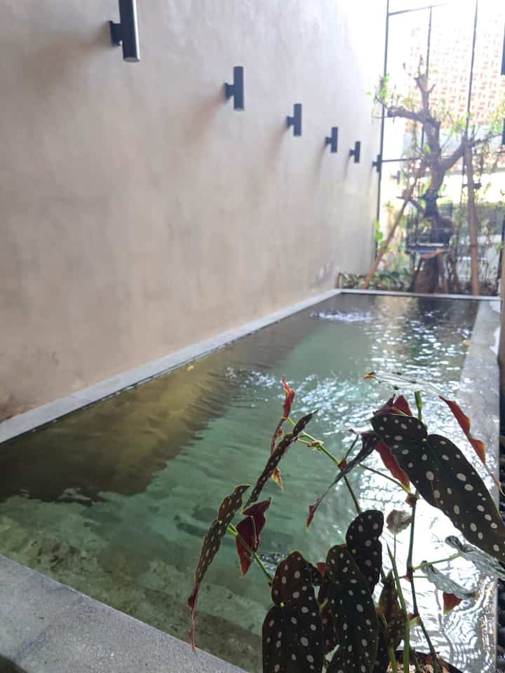 Spot ini menjadi salah satu tempat favorit kami sekeluarga untuk menghabiskan waktu bersama. Biasanya minggu sore jadi waktu kami berenang bersama. Lalu setelah itu lanjut makan malam di rumah sambil mendengarkan anak2 bercerita tentang rencana mereka minggu ini. 

#Batualam #KolamBatuAlam # #TembokAcian #KolamAirAsin #HomePool #SantaiDiRumah #RuanganFavorit