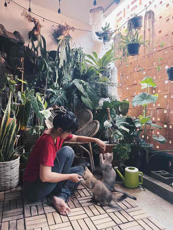 Hello Neighbor Kimkim 👋🏻

As a pet owner, the most enjoyable thing is playing together. After having a pet, I'm lazy to go out of the house during my free time.

I really like playing or giving my pet snacks in the semi-indoor garden area.

Even though it's closed from the outside, the air circulation here still flows. My pet and I feel at home playing or relaxing here.

#SemiIndoorGarden
#WoodenDecking
#RattanChair
#TropicalPlants
#Mother-in-law'sTongue
#DeerAntlers
#SpiderPlant
#PotCover
#BambooShower
#RelaxAtHome
#FavoriteRoom