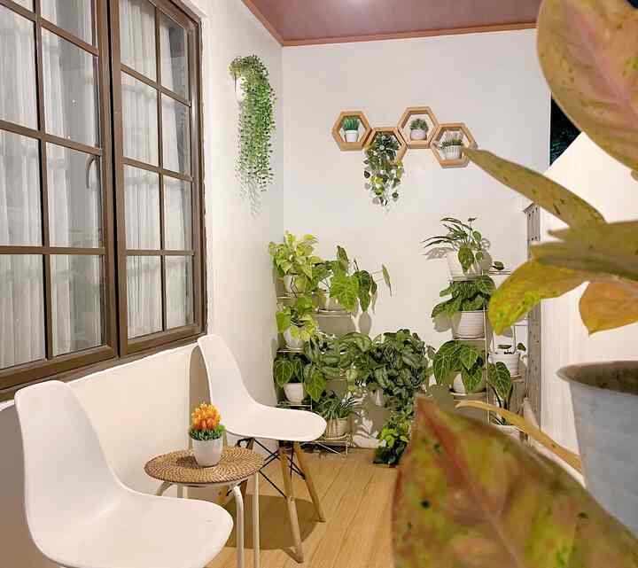 Natural white and wood-tone small living room featuring plants and simple furniture with cozy atmosphere