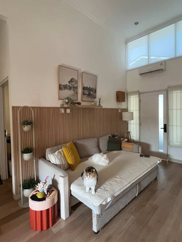 Beige and wood tone living room featuring a sofa bed and two cats with a natural and cozy atmosphere