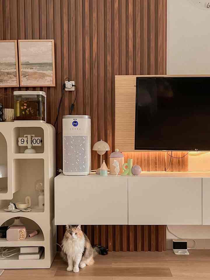 Living room featuring wood-tone wall panels and white floating TV cabinet, with a fluffy cat sitting front center for cozy ambiance