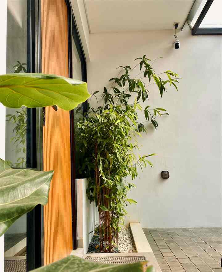 Inspirasi box planter di pojok rumah ✨

Pojokan ini awalnya tidak ada di design rumah saat kami renovasi. Tapi dari pada polos dan untuk menambah suasana segar juga di rumah, akhirnya space sempit ini dibuat box planter yang hanya berukuran 114 cm x 50 cm
Dengan adanya tanaman ini sekaligus bisa menutupi sedikit jendela yang cukup besar tanpa menghalangi sinar matahari masuk ke dalam rumah.

Semoga menginspirasi 🙏

#InspirasiTamanMungil #InspirasiLahanSempit #CatEksteriorRumah #WarnaCatRumah #RuangTerbatas #NeverTooSmall

