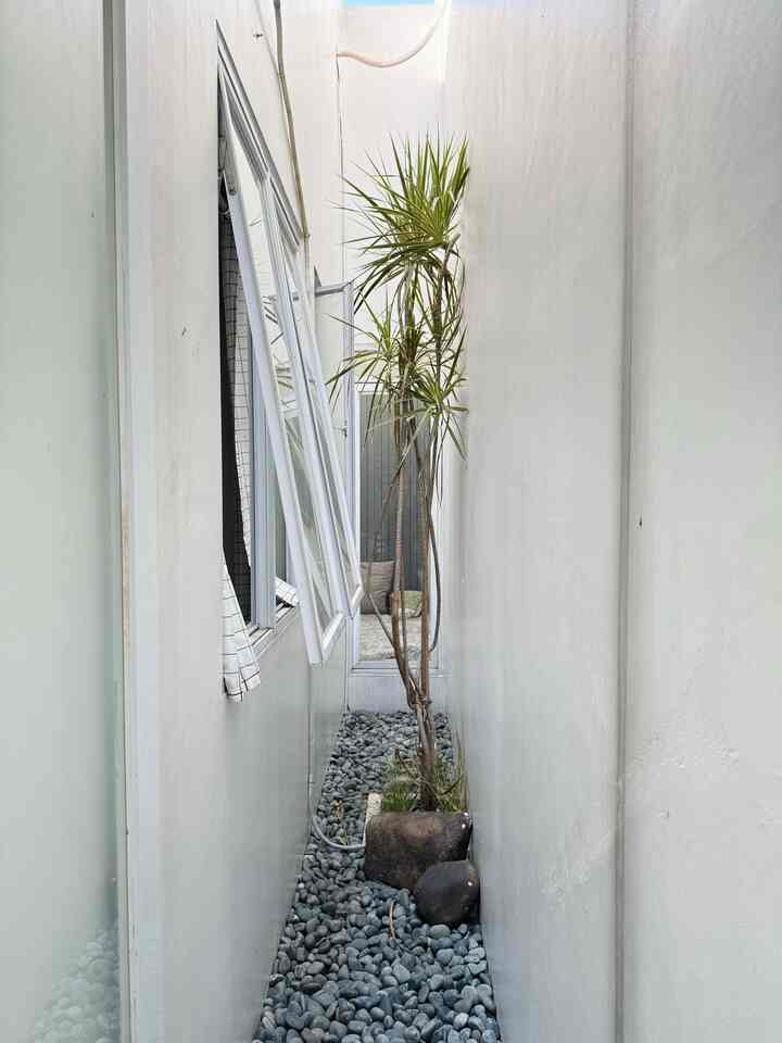 Gang Senggol Estetik: sumber simat dan udara segar untuk 4 ruangan sekaligus!

siapa bilang rumah dempetan tetangga harus pasrah gelap? kami menyiasati hal itu dengan membuat taman samping berukuran 70x600cm agar 4 ruangan di sampingnya mendapat cahaya matahari dan udara segar sepanjang hari.

dekor taman ini terbilang cukup sederhana menyesuaikan dengan luasan. hanya ada tanaman draceana tricolor dan rumput buntut kuda. selain itu ada juga batu kali dan batu koral warna natural. cat yang kami pilih menggunakan cat outdoor berwarna putih yang dapat memantulkan cahaya sehingga ruangan terlihat lebih terang. 

taman ini hanya sebagian yang diberi atap solartuff yaitu pada bagian tempat menaruh alat kebersihan. sisanya beratapkan langit dan mendapat cahaya dan udara segar. tidak hanya dari atap, udara segar juga mengalir dari roster yang berhadapan langsung dengan teras di depan. 

tidak hanya berfungsi sebagai taman, namun tempat ini juga difungsikan untuk menaruh alat-alat kebersihan, dan juga sebagai tempat outdoor AC sehingga fasad depan tidak terganggu.

#tamanrumah #tamansamping #eksterior #catputih #tamantropis #rumahtropis #tropical #tamankering 