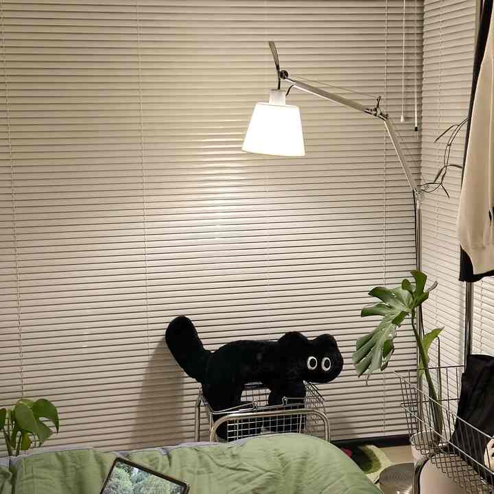 Bright bedroom featuring white blinds, natural green plants, a central black cat pillow, and a glowing floor lamp