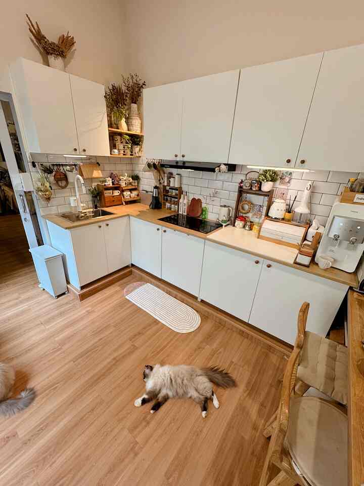 Area yang pertama di renov yaitu dapur. Dulunya dapur bawaan developer pake meja beton dan kecil banget. Kompor pun cuma pake 1 tungku. Alhamdulilah bisa renov jadi dapur yg lebih proper. 

Dapur ikea ukuran 1,4x3 m ini budgetnya ga sampe 11 juta. Cocok sama budget dan alhamdulilah awet dari 2020.  

#kylehome #SmallChangesBigImpact
#InspirasiRenovasi #kitchensetminimalis #dapurikea #kitchensetreadystock #inspirasidapur 