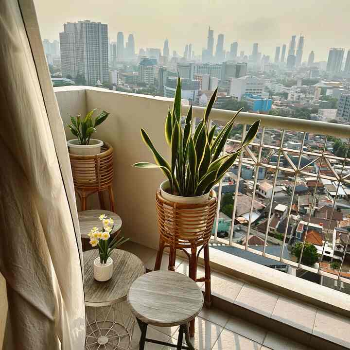 #BalkonApartment yang pengen aku jadikan ruang hijau! 

Masih dikit sihhh tanemannya, tapi akan berproses sambil nyari tanaman yang tepat dan juga printilannya biar tetep enak dilihat tapi ga bikin balkon terasa “penuh”. 

Balkon ini juga belum sepenuhnya aku decor karena emang belum ada ide aja 🤣 dan ngerasa ga urgent banget buat decor ini buru-buru. 

Selama bersih dan rapih, bisa duduk-duduk sambil nge-teh sih rasanya udah cukup yaa untuk saat ini! 🩵🩵

#InspirasiBalkon #BalkonStyle #BalkonMinimalis #BubuApato #Balkonideas #Balcony 

