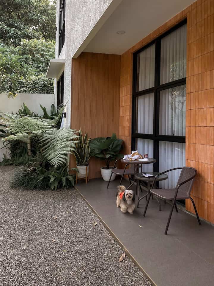 Tadinya area samping rumah kami ditanamani rumput, tapi karena cahaya matahari tidak sampai ke area rumput maka ada bagian yang tidak hidup jadi kami memutuskan untuk mengganti dengan taman kering(slide terakhir untuk foto before). Selain itu kami juga menambahkan beberapa tanaman baru. 

Menurut kami dengan penggantian rumput ke batu kerikil dan penambahan tanaman rumah membuat tampilan rumah jadi lebih tropical.
_
#TamanKering
#SmallChangesBigImpact
#InspirasiRenovasi
#Landscape
#ZenGarden
#RumahTropis