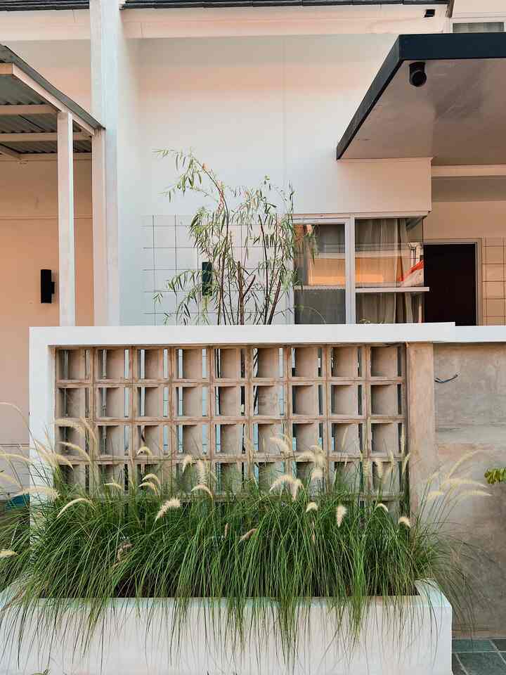 Minimal outdoor space with white and gray toned exterior walls, concrete roster, and natural plants arranged in front