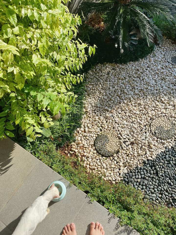 Inspirasi taman depan rumah✨

Siapa di sini yang suka bercocok tanam? Nah buat yang pny lahan rumah kecil, gak perlu ragu, karena lahan terbatas kadang bikin kita makin kreatif dalam penyesuaiannya

Seperti potret lahan di depan rumah yang dijadikan mini garden

#tamankering #tamanminimalis #batutaman #mangkokkucing #keramikteras #plafonWPC #inspirasitaman #tamanstyle