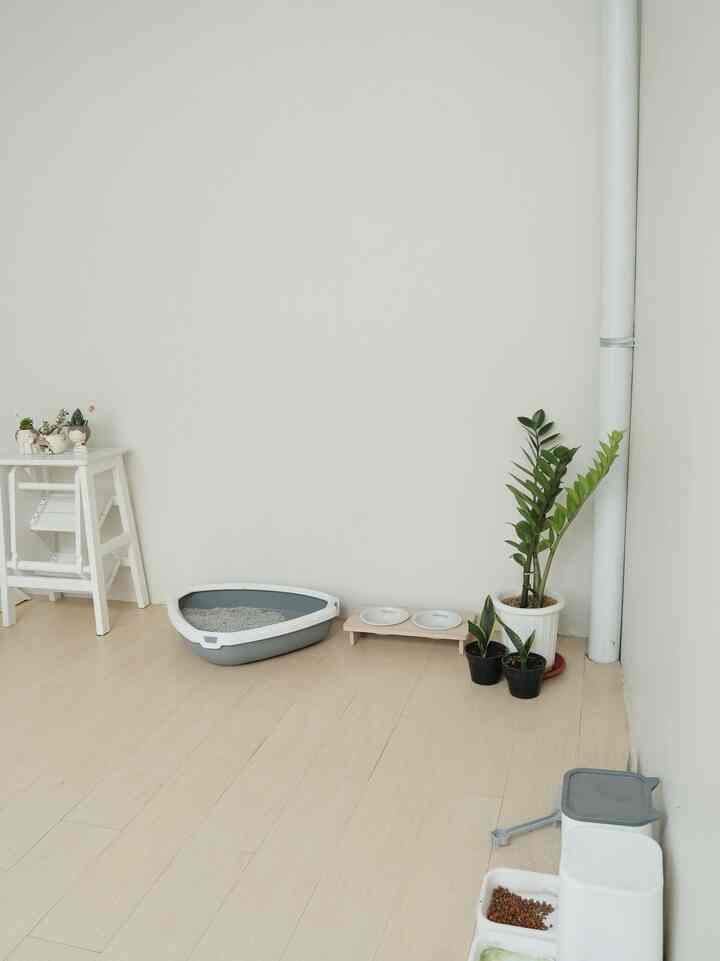 Salah satu project renovasi di Damaruma adalah membuat Catroom semi outdoor di belakang rumah. Dengan lahan tersisa ukuran 2,3 x 6 cm setengahnya ditutup menggunakan kanopi dan dipasang keramik motif kayu untuk ruangan kucing

#CatRoomIdeas #RuanganKucing #CatRoomSemiOutdoor #SmallChangesBigImpact #InspirasiRenovasi