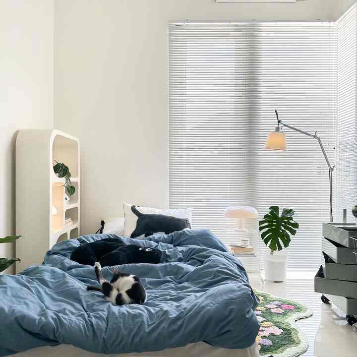 Bright bedroom in white and blue tones, featuring a central blue bedspread and a cat, with a minimalist and airy atmosphere